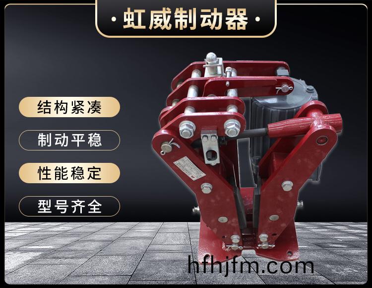 YPZ2-IV-V-VI型電(dian)力液(ye)壓盤式(shi)製動器(qi)