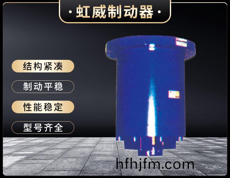 YDGZ(直(zhi)動式)液壓(ya)頂(ding)軌(gui)製動器