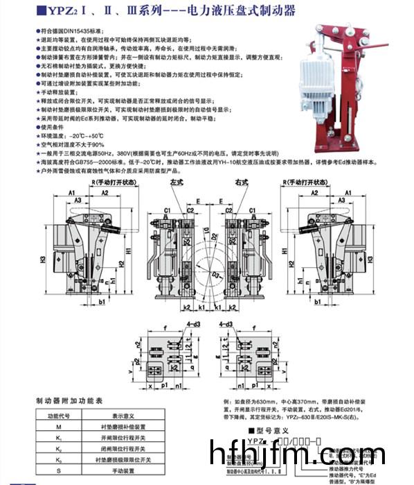 YPZ21